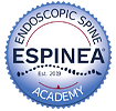 Endoscopic Spine Academy (ENSPINEA) logo